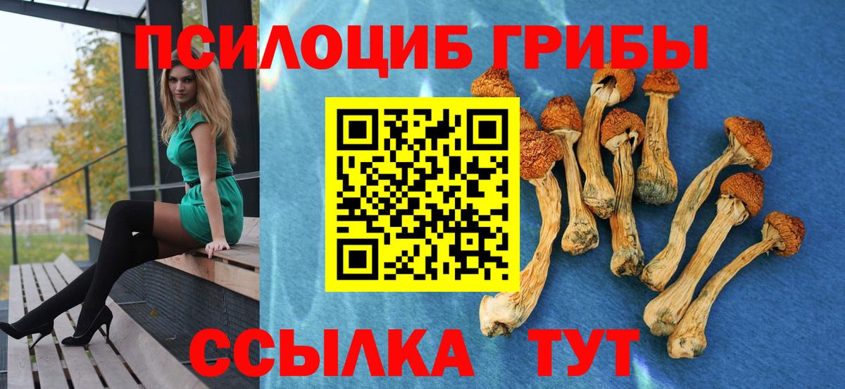 Псилоцибиновые грибы Psilocybine cubensis  Вход с VPN  Оренбург 